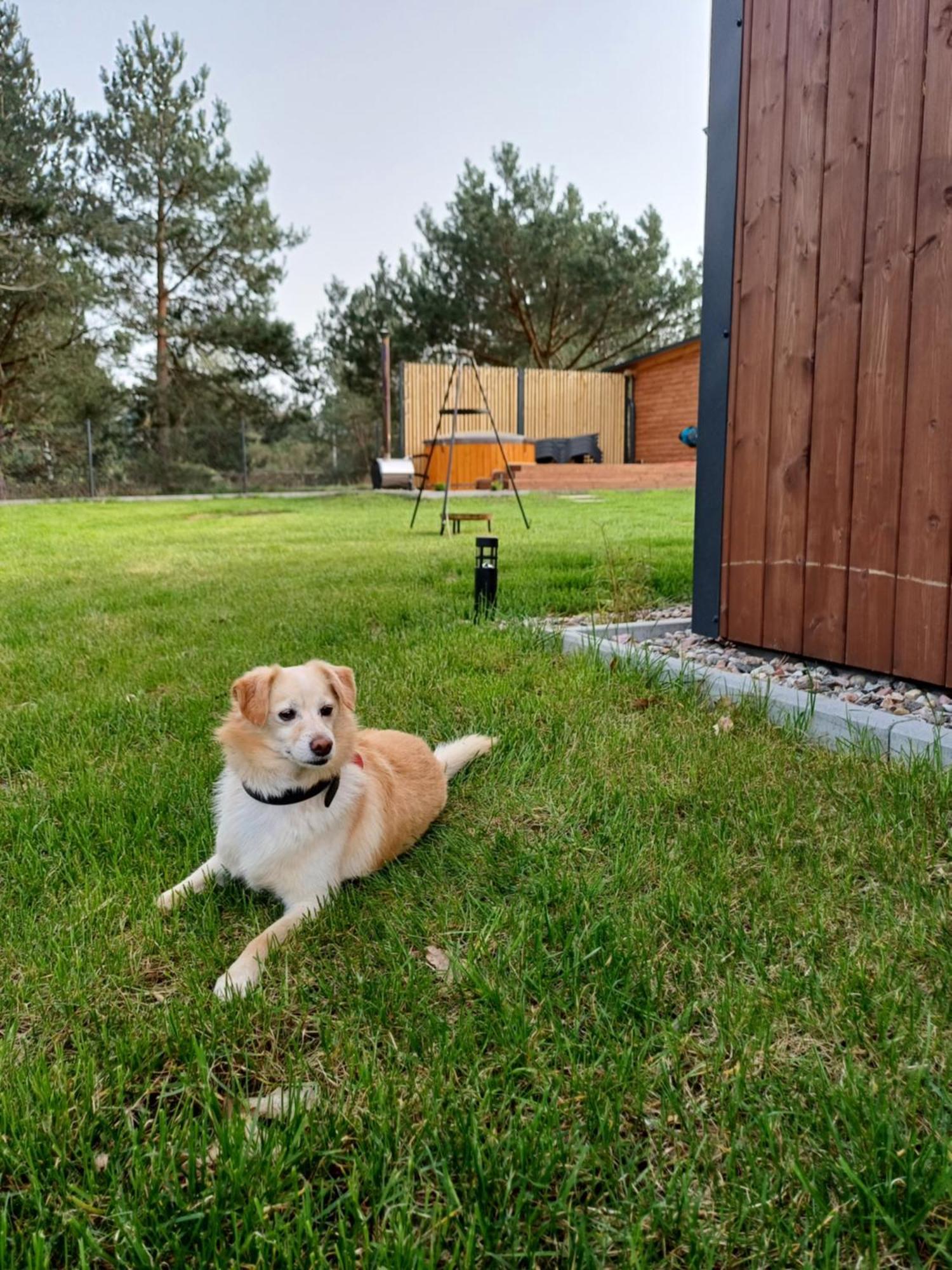 Westfalowachatka Domek Z Jacuzzi Sasino Zewnętrze zdjęcie